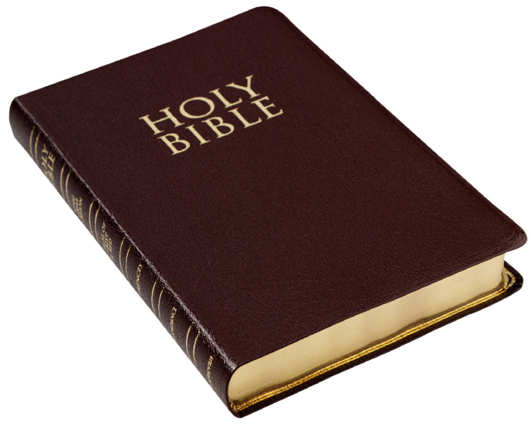 Pictures Of The Bible 15